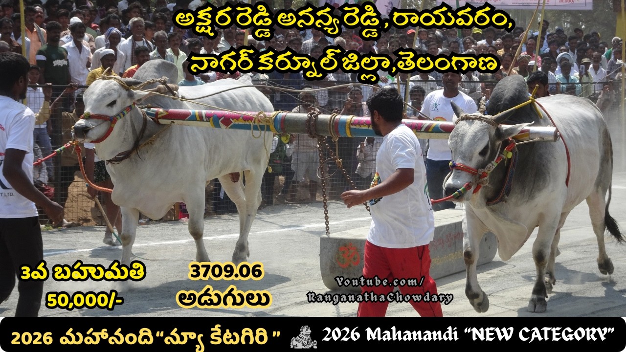 2026 #mahanandi NewCategory #ongolebullsshow 3rd Prize Rs.50,000/- Won By M.AKSHARA & ANANYA REDDY