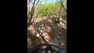 #allmountain #mtb #mtbenduro #specialized #goprohero13
