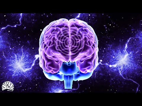 Impossible to Watch Without Laughing! 99 9% Fail 😂 Funny Dog Videos 2025