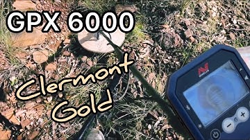 Finding gold nuggets with the gpx 6000. Minelab gpx 6000 settings #jenkosgold