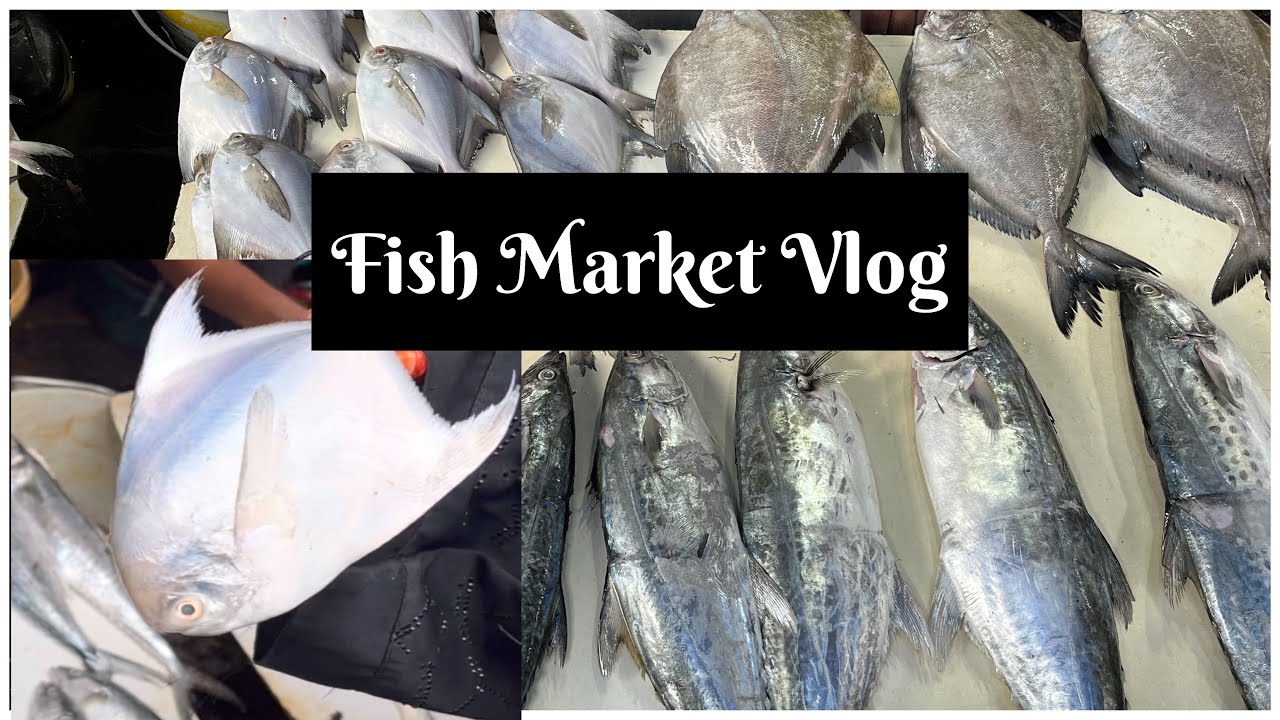 Fish Market starting price 50 itni sasti fish Wow 😮 Mumbra amrut nagar Market