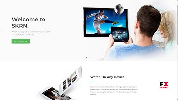 SKRN - Media Streaming App WordPress Theme      Raine Lon