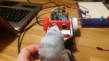 Arduino autonomus robot - cat toy! Codename: BennyStruktor 1
