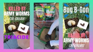 Applying Lawn Insect Killer - Bug Bgon & Triacide (Not Sponsored)
