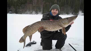 Isfiske etter gjedde (8,5kg)/ Pikefishing on the ice (8,5 kg)