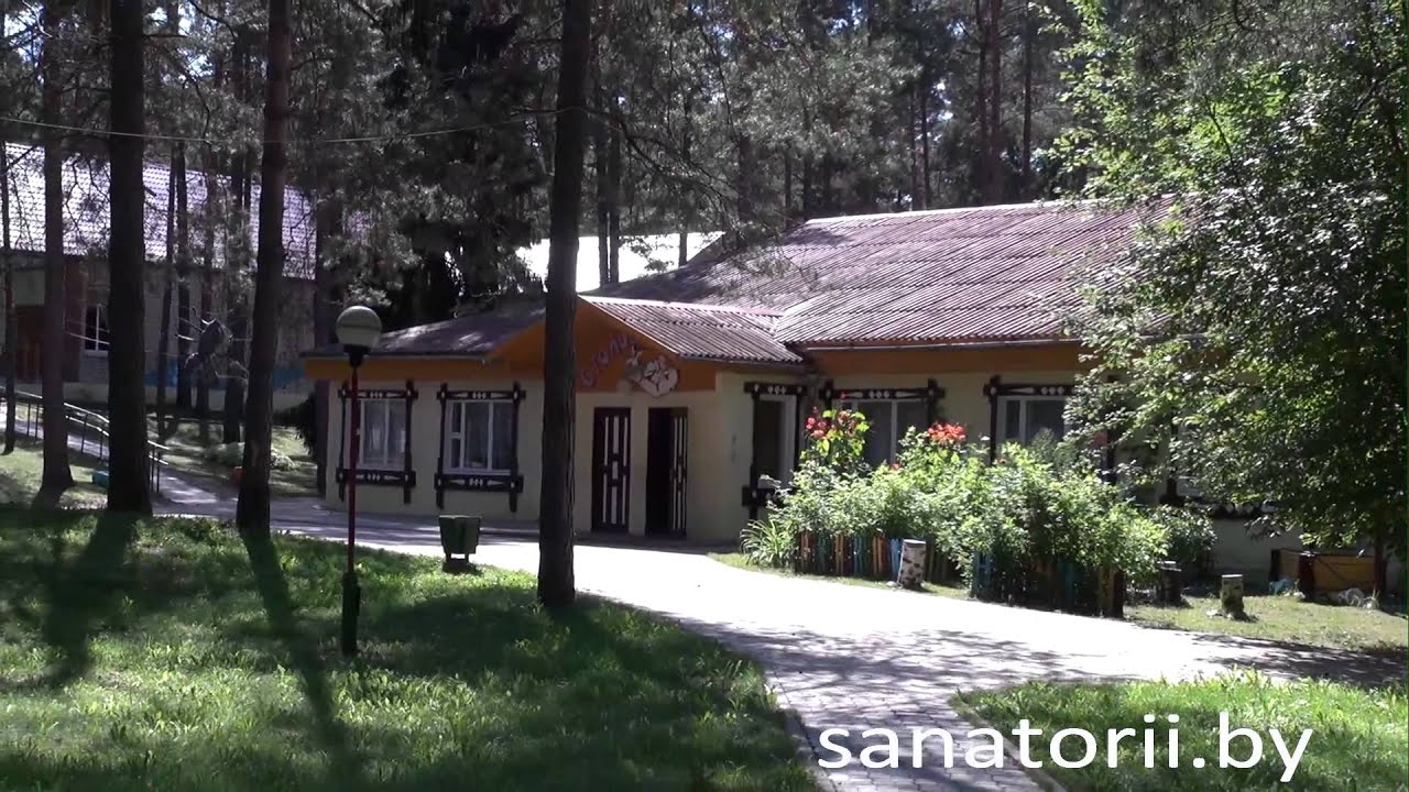 Налибокская пуща детский санаторий отзывы Налибокская пуща детский санаторий отзывы