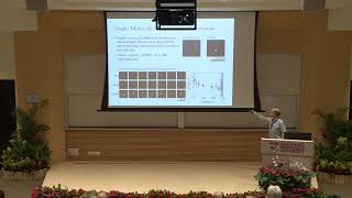 2018 - Polyelectrolytes Workshop: Anatoly Zinchenko