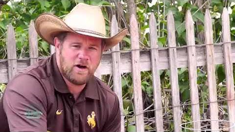 How to Plant Cucumbers in a Garden  l  how to plant cucumbers on a trellis