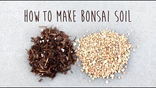 How to make your own bonsai soil for Portulacaria afra by Little Jade Bonsai