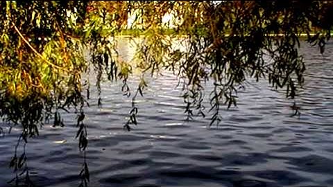 Autumn Colours on Campus