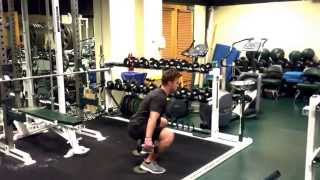 Heels Elevated DB Squat