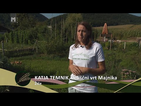 Video: Kako Odpreti Stojnico šawarme