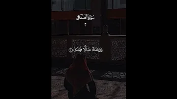 تلاوه هادئه بصوت الشيخ فارس عباد 