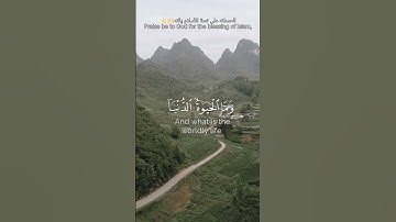 قرآن كريم بصوت هاديء مريح للأعصاب Holy Quran♥️✨