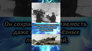 ЛаГГ‑3: истребитель из дерева, который воевал всерьёз