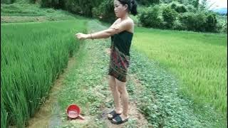 gadis desa mandi di tengah sawah setelah bertani