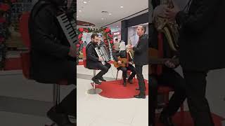 Domates Biber Patlıcan