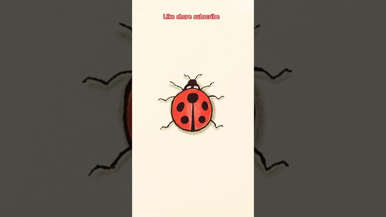 Red ladybug, ladybird with black spots, isolated sketch style illustration.  Illustration about insect, natural, color, ga… | Ladybug art, Ladybird, Ladybird  drawing