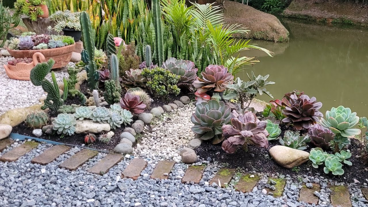 #Jardim de suculentas  no chão, refiz ele #suculentas #jardimdesuculentas 