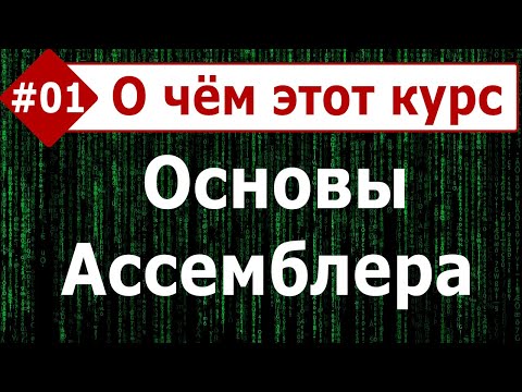 Видео: Из чего состоит тест NASM?