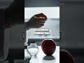 Tactile Futures: Soft Skin Powers Delicate Robotic Handling