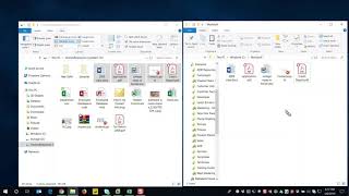 Spirion Watcher Demo Video
