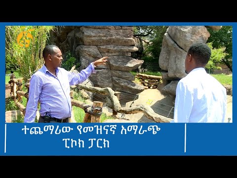 ተጨማሪው የመዝናኛ አማራጭ-ፒኮክ ፓርክ  #ፋና_ዜና #ፋና_90