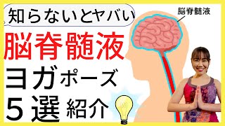 知らないとヤバい！脳脊髄液にきくヨガポーズ5選