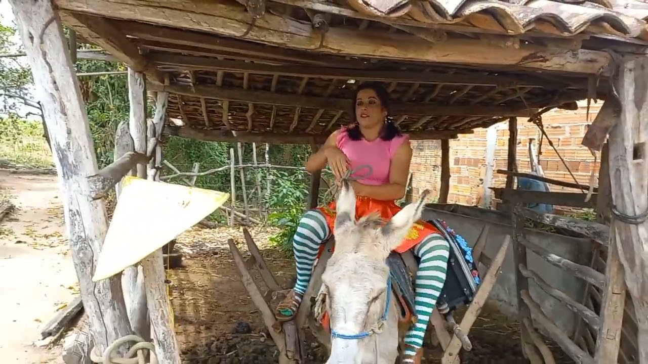 Nunca confunda burro com jegue 🤣🤣🤣🤣🤣