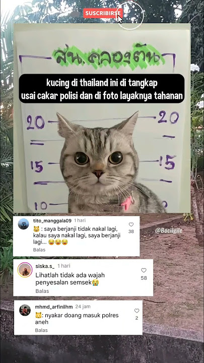 Padahal saya cuman bercanda kenapa malah jadi di seriusin begini! #funny #shortvideo #shorts