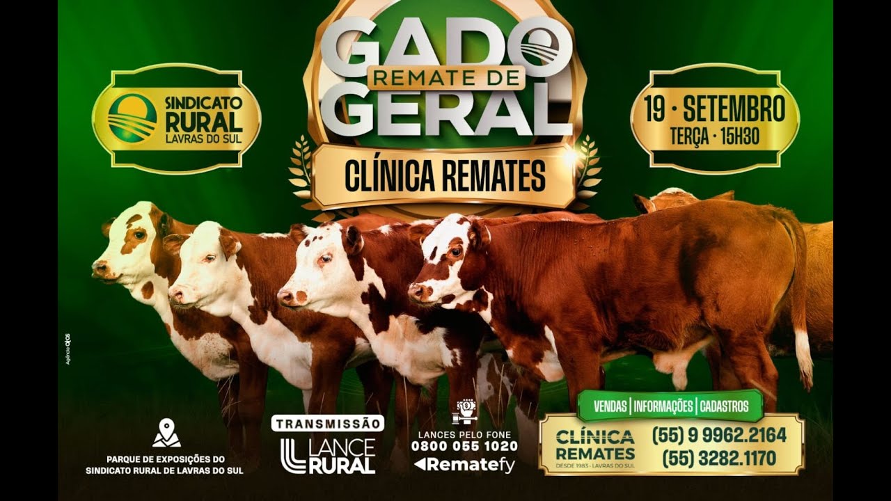 Remate Gado Geral – Clínica Remates 