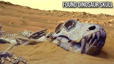 De Marsrover Curiosity van NASA heeft deze afbeelding gemaakt op het Marsoppervlak: Perseverance ...