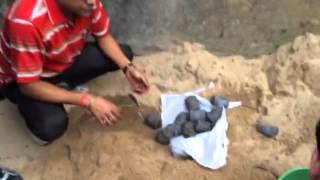 West Bengal elections 2016: Crude bombs recovered in Kolkata's Chetla by Nidhi C 442 views 7 years ago 9 seconds