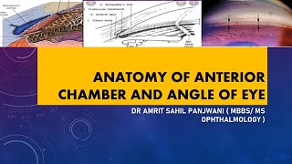 ANATOMY OF ANTERIOR CHAMBER AND ANGLE OF EYE