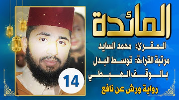 (مكررة) حفظ سورة المائدة(14) للقارئ الشيخ محمد سايد