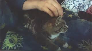 WIN 20251110 14 42 05 Pro