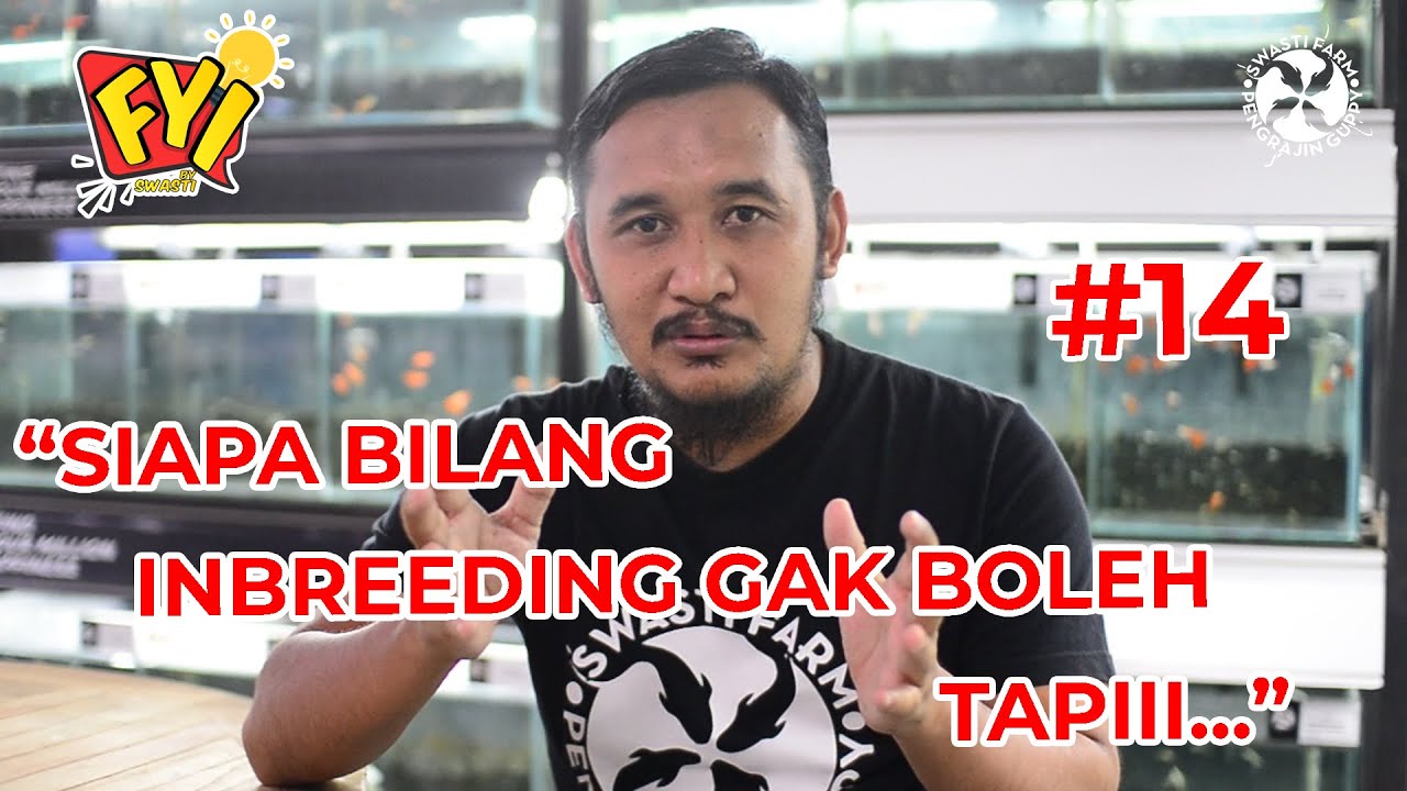 For Your Information by Swasti #14: "Siapa Bilang Inbreeding Ikan Guppy Gak Boleh? Tapiii..."
