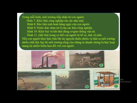 TUẦN 32 - KHOA HỌC - Môi trường và tài nguyên thiên nhiên có vai trò gì đối với đời sống của con người (Tiết 1)