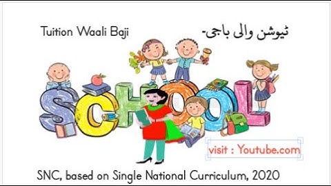 Single National Curriculum (SNC)