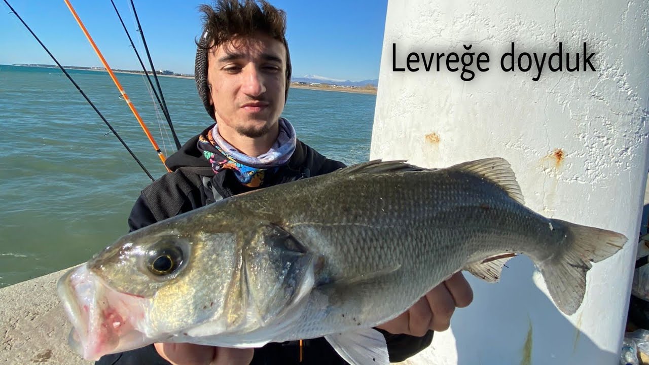 Silikon yem ile atçek levrek avı / Seabass on soft bait !! / Her atışta levrek!!