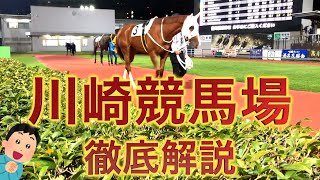 【川崎競馬場】くるか万馬券!仕事帰りのナイター競馬が面白い!