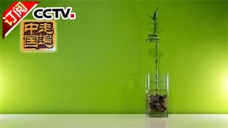 [Across China] 20160531 | CCTV-4