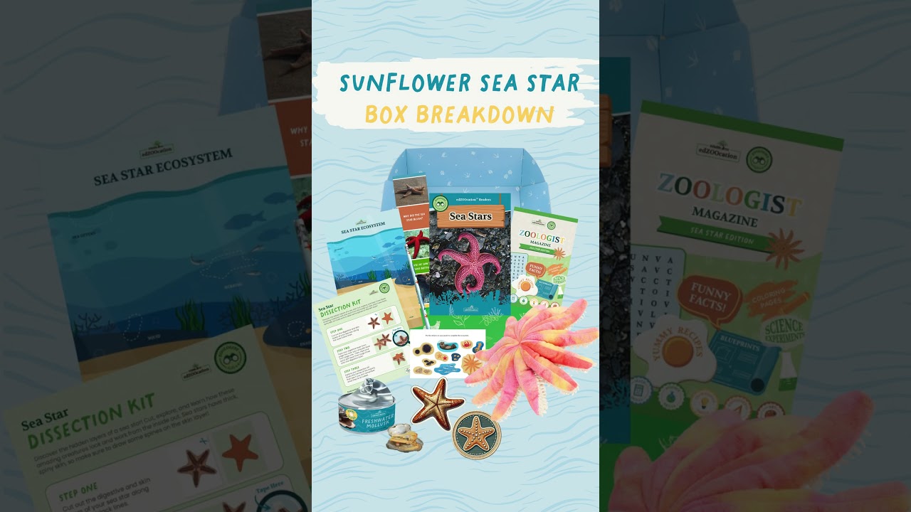 Sunflower Sea Star Box Breakdown