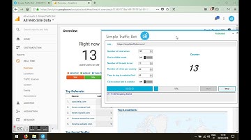 Simple Traffic Bot Pro Software