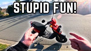 Why Everyone NEEDS To Buy A 2 Stroke Scooter!