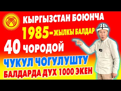 Video: 1985 жыл. Ливанда өзгөчө 