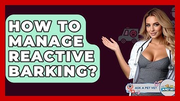 How To Manage Reactive Barking? - Ask A Pet Vet