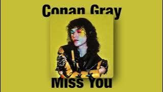 Conan Gray - Miss You (Instrumental)