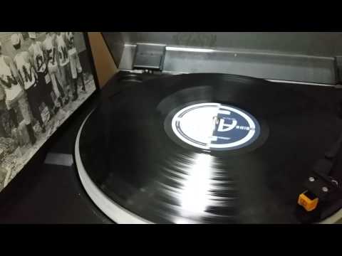 바람꽃 비와 외로움