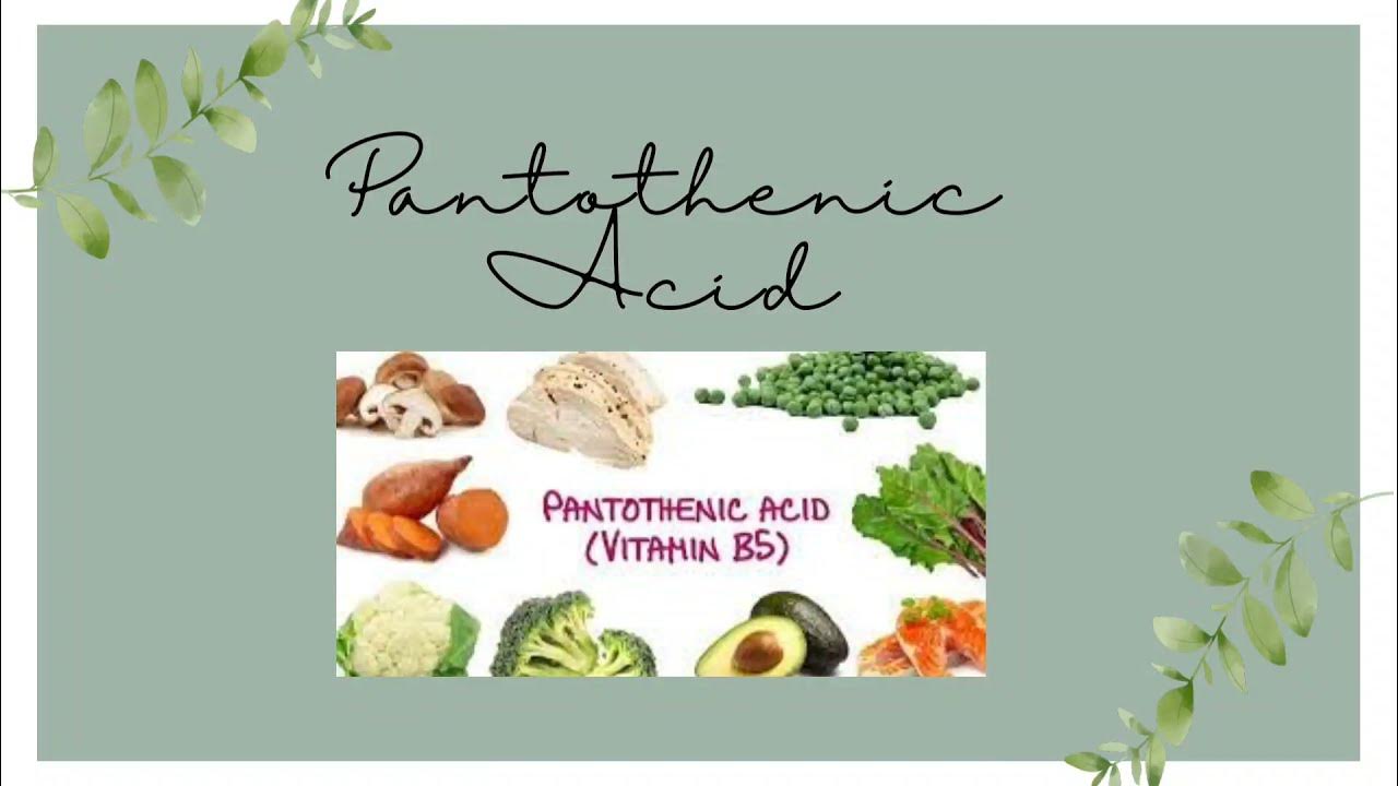 Pantothenic acid // food sources of pantothenic acid // functions of